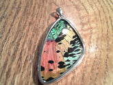 Lady's Extra Large Sterling Silver Pendant with a Sunset Moth Butterfl