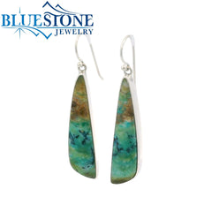 Sterling Silver French Hook Earrings with Petrified Wood Agate