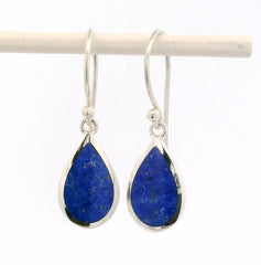 Sterling Silver Earrings with Lapis