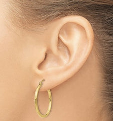 14K Yellow Gold 2mm Tube Hoop Earrings (25mm tall)