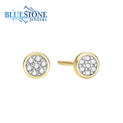 14 Karat Yellow Gold Plated Pave Stud Earrings w/ 14 CZ Gemstones.