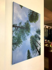 Original Oil Painting by local Artist Alexandra Theiss