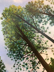 Original Oil Painting by local Artist Alexandra Theiss