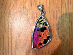 Lady's Medium Sterling Silver Pendant with Butterfly Wings - Various W