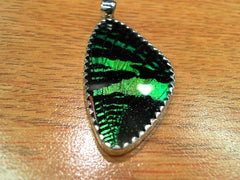 Lady's Extra Large Sterling Silver Pendant with a Sunset Moth Butterfl