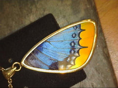Lady's Large Premium Sterling Silver Pendant with Butterfly Wings