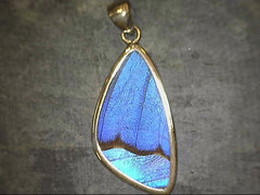 Lady's Medium Sterling Silver Pendant with Butterfly Wings - Various W