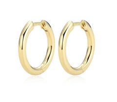 10K Gold Plated 2mm Hoop Earrings