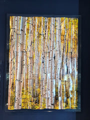 "Aspen Forest" Tryptych - 26" x 20" - by Paul Bartlett