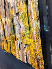 "Aspen Forest" Tryptych - 26" x 20" - by Paul Bartlett