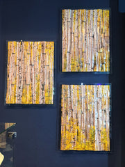 "Aspen Forest" Tryptych - 26" x 20" - by Paul Bartlett
