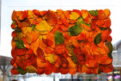 "Autumn Leaves" Photography on Aluminum by Paul A. Bartlett- 25" x 16"