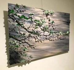 Wild Dogwood 23" x 37"  Completed 6/16/2024
