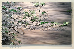 Wild Dogwood 23" x 37"  Completed 6/16/2024