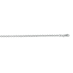 14K White Gold 2.5mm Lite Rolo 20 Chain with Lobster Lock