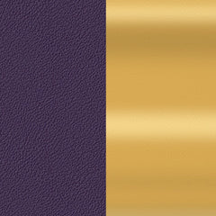 HYPNOSIS/ GOLD ­-25 MM Bracelet leather