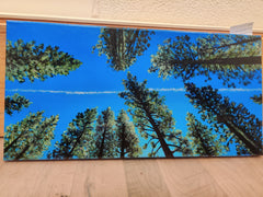 Original Oil Painting by local artist Alexandra Theiss
