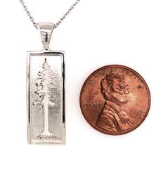 Sterling Silver Medium Redwood Tree Pendant on an 18" Rolo Chain. Pend