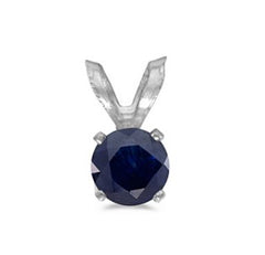 14 Karat White Gold Pendant with One 5mm Round Sapphire.
Chain is Sol