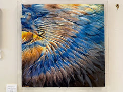 Sand Feathers  - photography on recycled aluminum  20 by 20 inch image