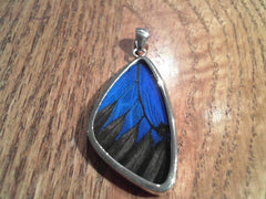 Lady's Large Premium Sterling Silver Pendant with Butterfly Wings