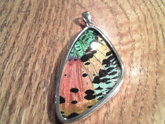 Lady's Extra Large Sterling Silver Pendant with a Sunset Moth Butterfl